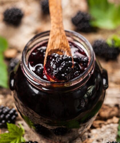Pioneer Woman Blackberry Freezer Jam Without Pectin
