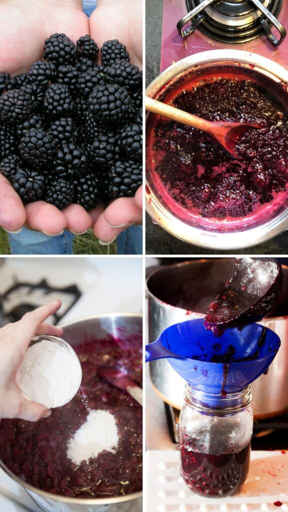 Pioneer Woman Blackberry Freezer Jam Without Pectin