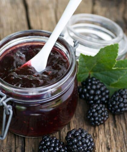 pioneer woman blackberry jam