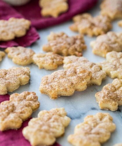 Pioneer Woman Pie Crust Cookies