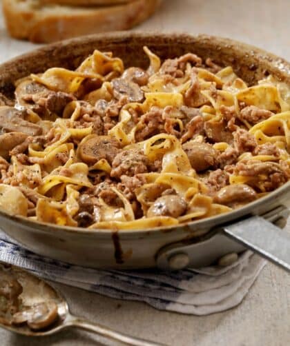 Pioneer Woman Slow Cooker Beef Stroganoff