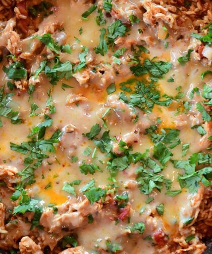 Pioneer Woman Tex Mex Chicken Casserole