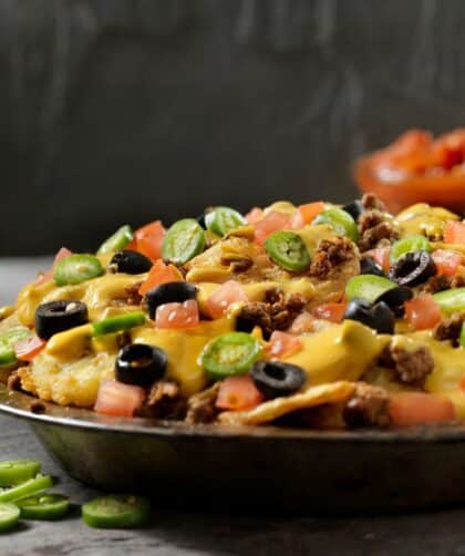 pioneer woman potato nachos