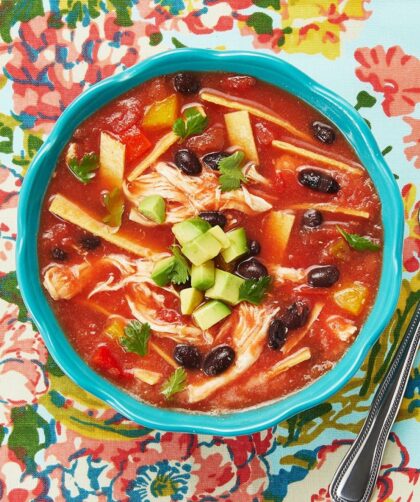 Pioneer Woman Chicken Tortilla Soup