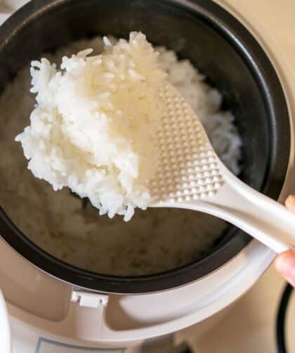 Chicken Broth Rice Cooker