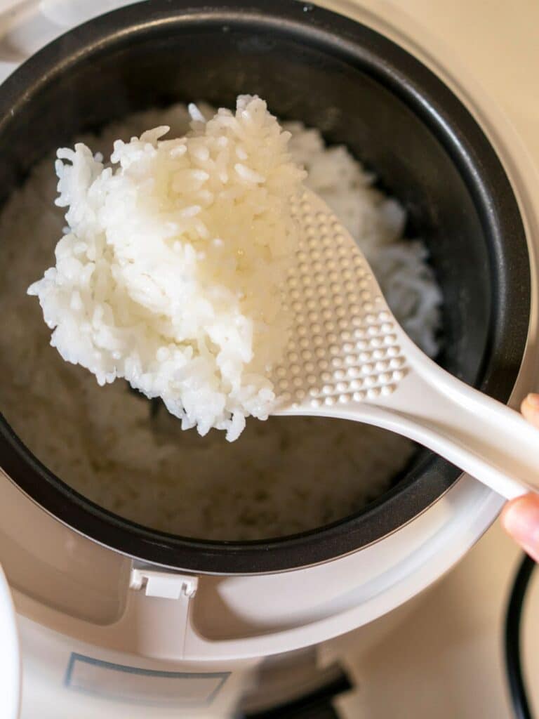 Chicken Broth Rice Cooker Recipe - Delish Sides