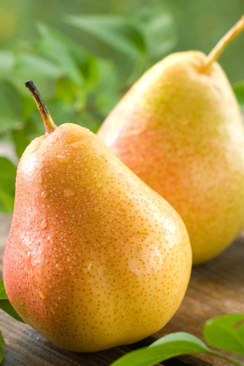 Mary Berry Pear Chutney - Delish Sides