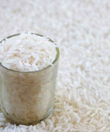 how many grams of cooked rice in a cup