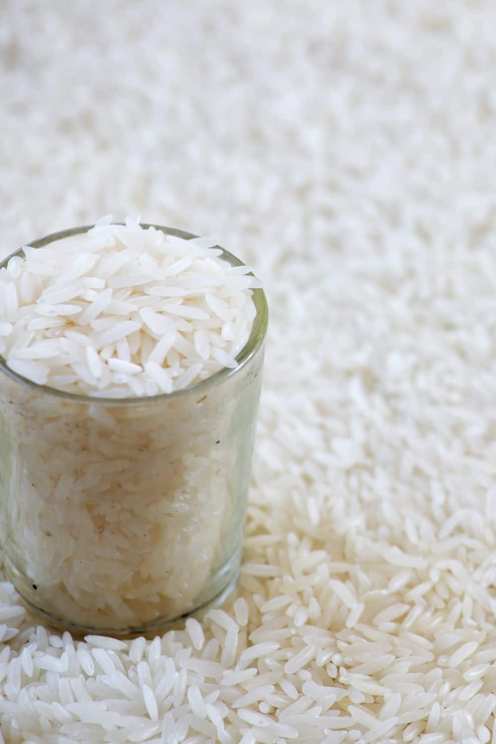 1-4-cup-cooked-jasmine-rice-nutrition-facts-bios-pics