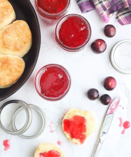 Pioneer Woman Muscadine Jelly