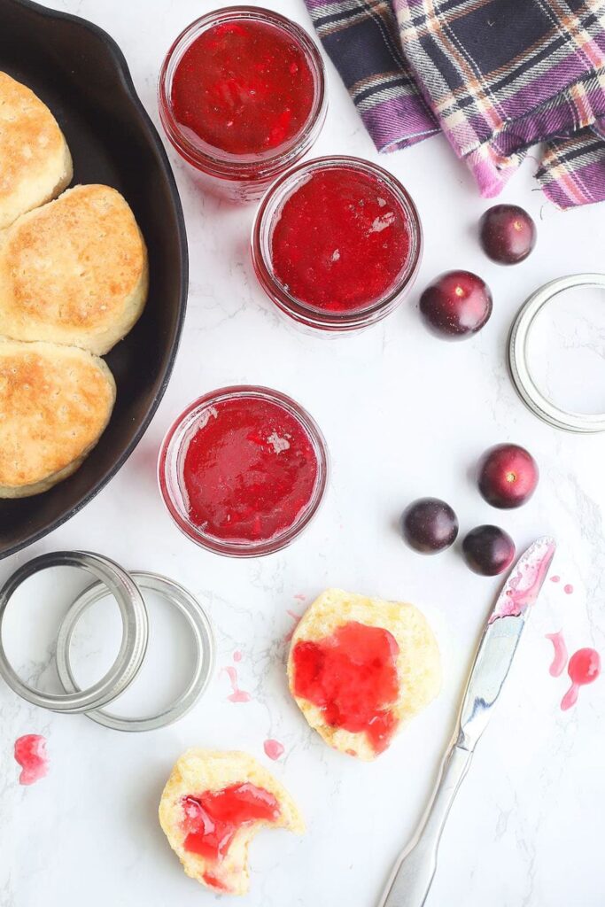 Pioneer Woman Muscadine Jelly