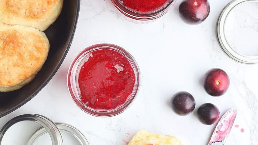 Pioneer Woman Muscadine Jelly