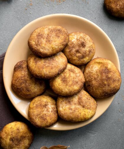 Alton Brown Snickerdoodle