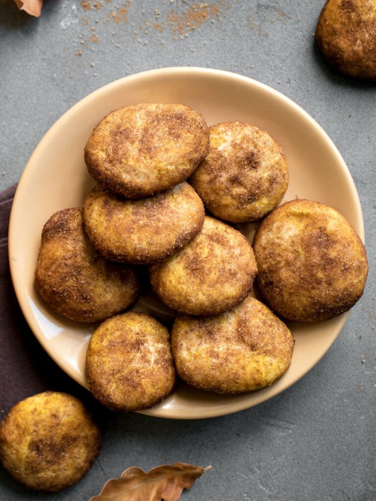 Alton Brown Snickerdoodle