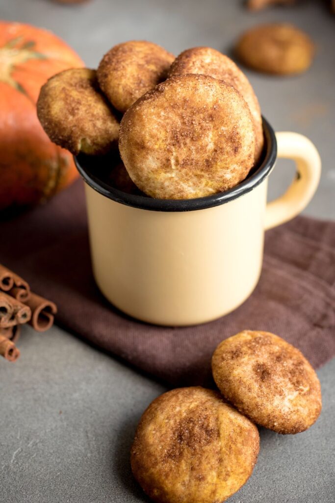 Alton Brown Snickerdoodle