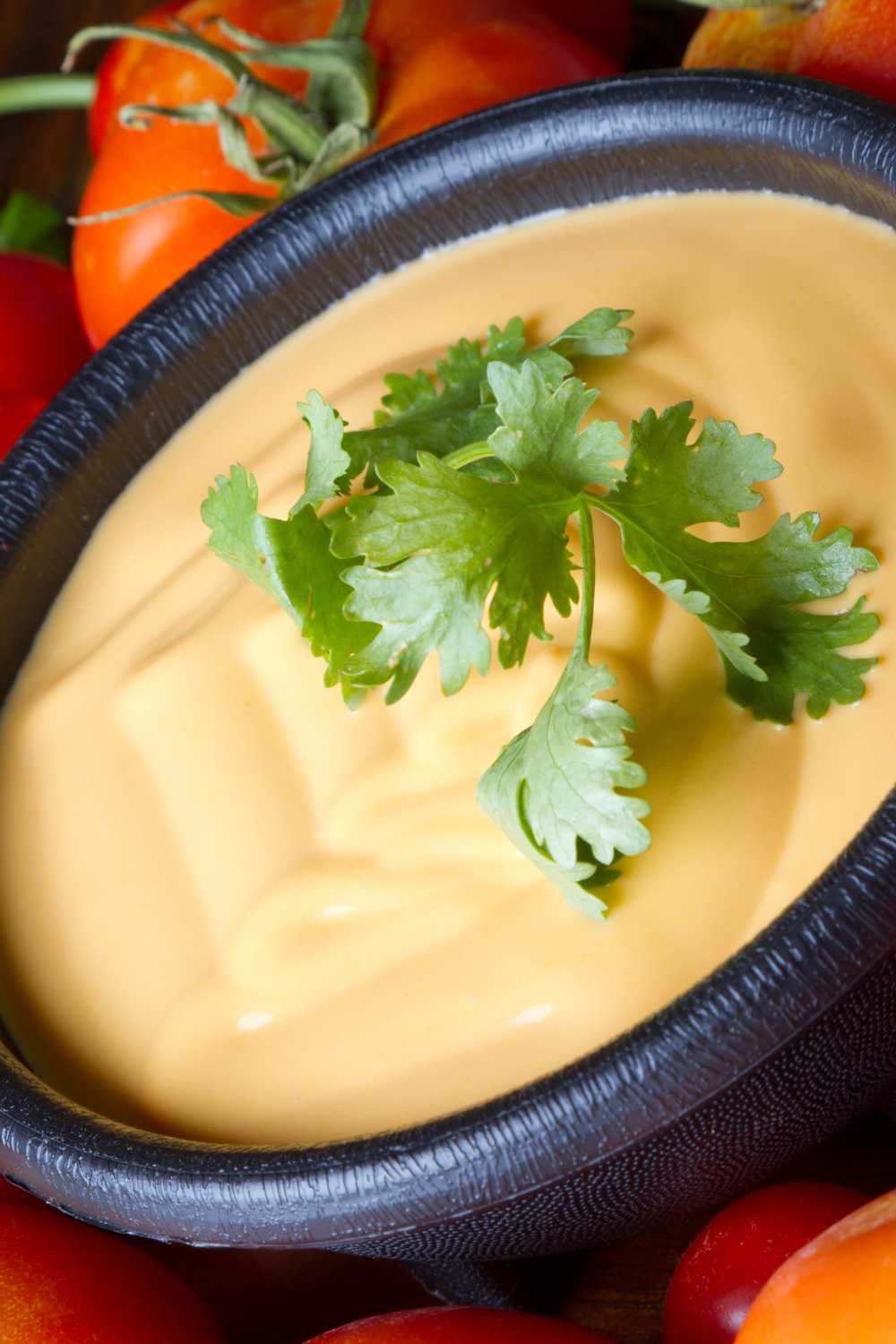 Bobby Flay Queso Recipe