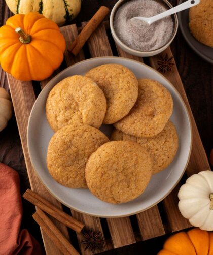 Joy Of Cooking Snickerdoodle Recipe