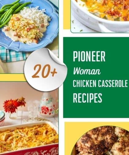 20+ Pioneer Woman Chicken Casserole Recipes