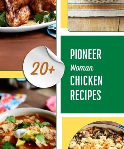 20+ Pioneer Woman Chicken Recipes