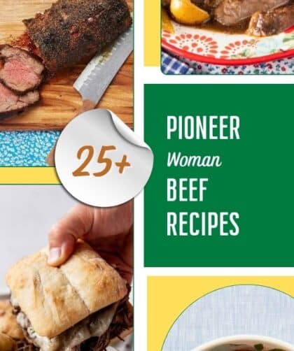 25+ Pioneer Woman Beef Recipes