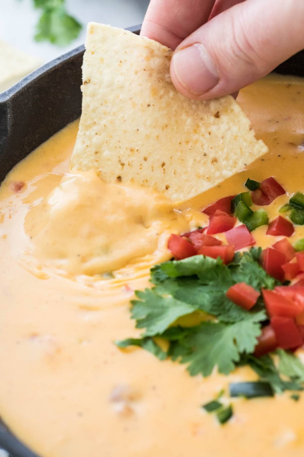 Joanna Gaines Queso Recipe​