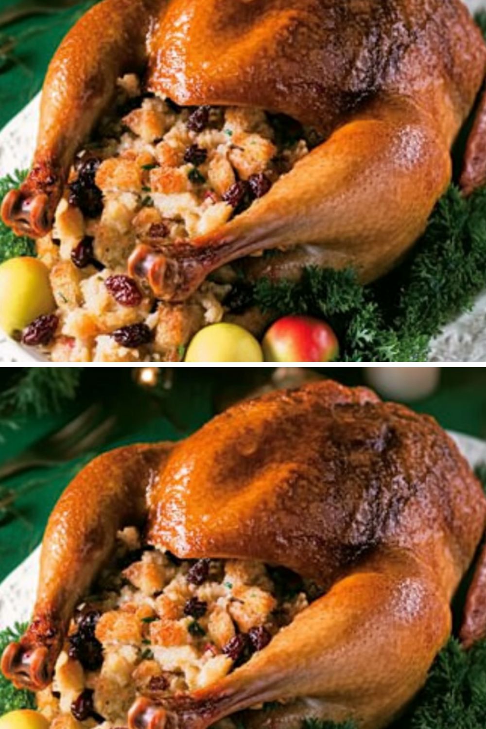 Julia Child Stuffed Duck