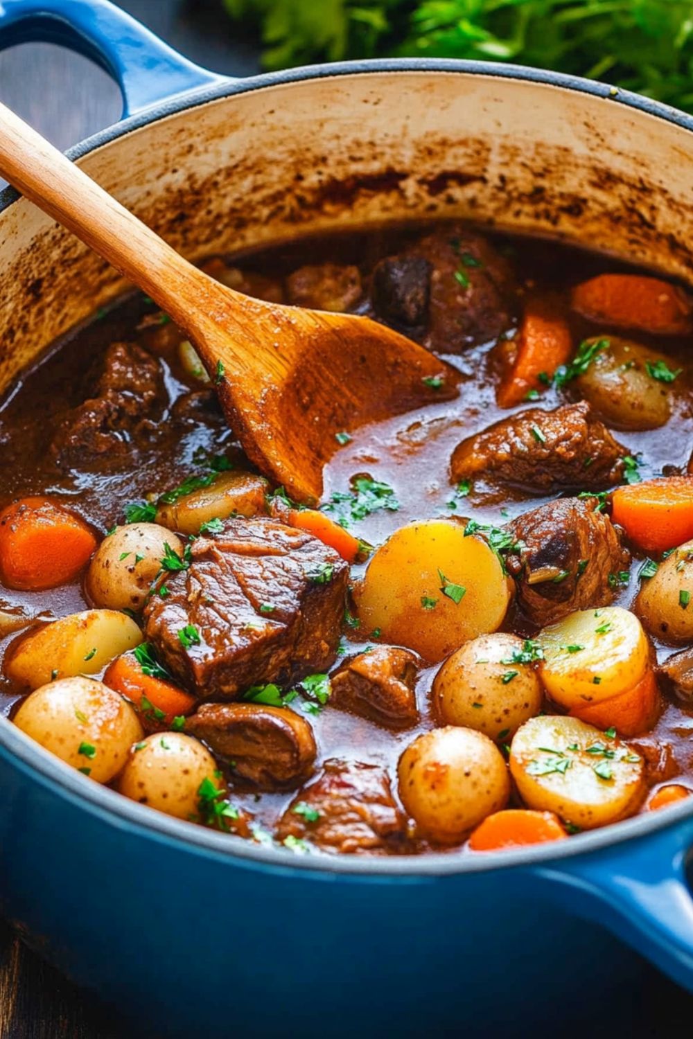 Julia Child Lamb Stew