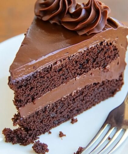 Julia Child Chocolate Cake