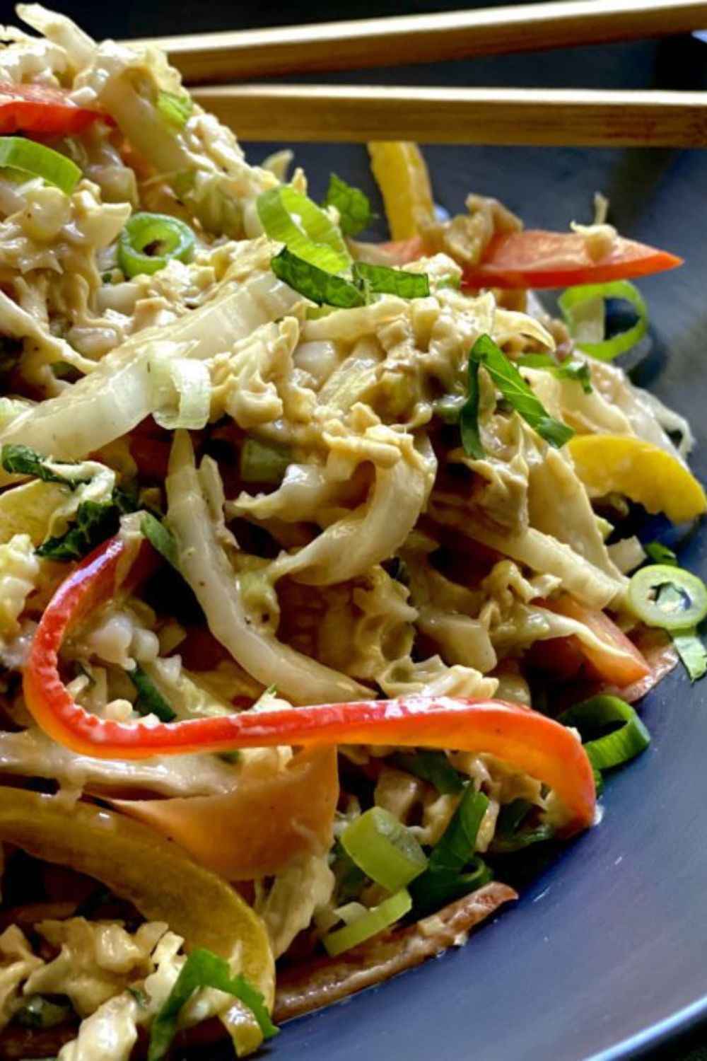 Alton Brown Asian Slaw Recipe