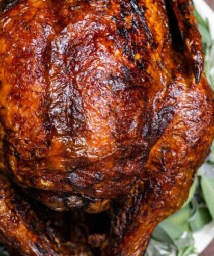Alton Brown Fried Turkey Recipe