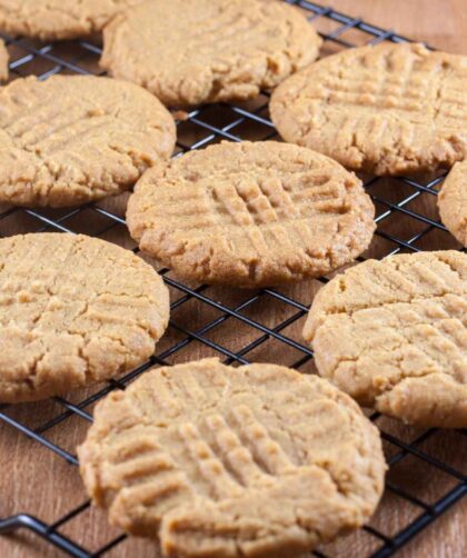 Alton Brown Peanut Butter Cookies Recipe