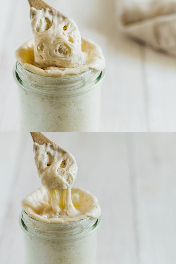 Alton Brown Sourdough Starter Recipe