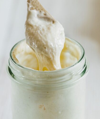 Alton Brown Sourdough Starter Recipe