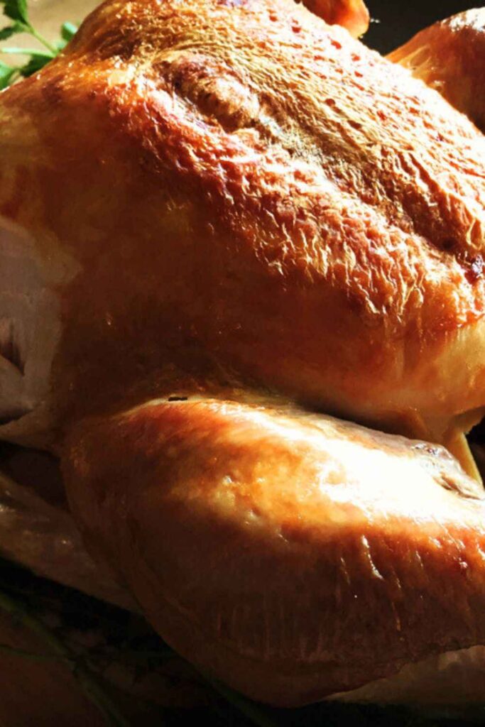 Alton Brown Turkey Recipe