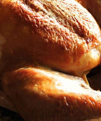 Alton Brown Turkey Recipe