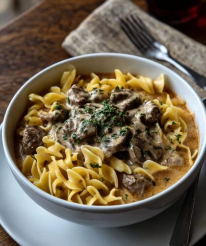 Pioneer Woman Beef Stroganoff Soup Recipe