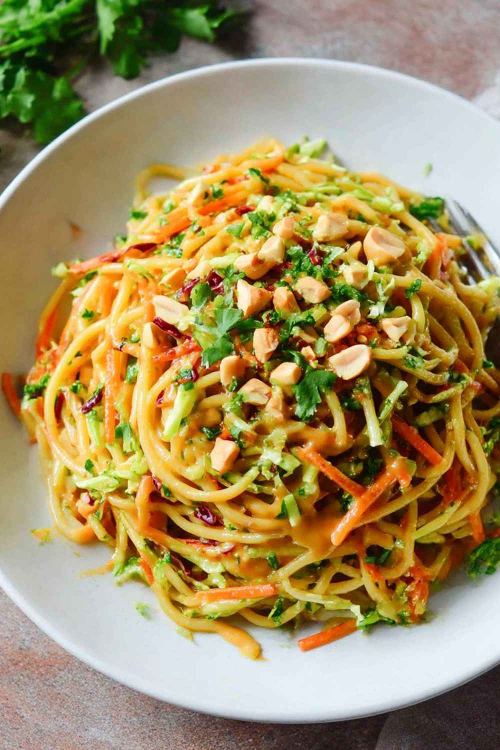 Pioneer Woman Asian Noodle Salad Recipe