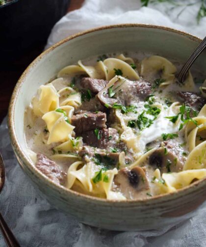 Pioneer Woman Beef Stroganoff Soup Recipe