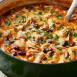 Pioneer Woman Chicken Enchilada Soup Recipe