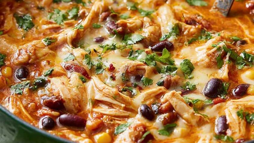 Pioneer Woman Chicken Enchilada Soup Recipe