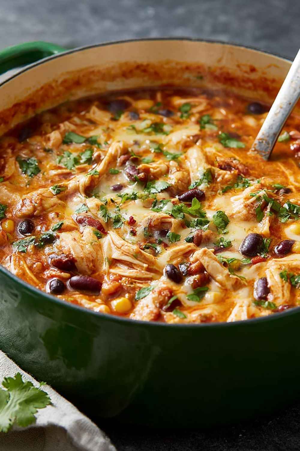 Pioneer Woman Chicken Enchilada Soup Recipe