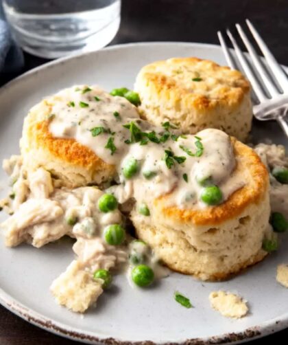Pioneer Woman Creamed Chicken Over Biscuits Recipe