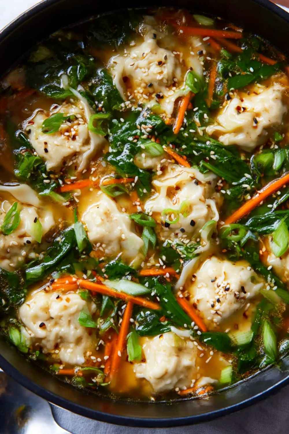 Pioneer Woman Potsticker Soup Recipe