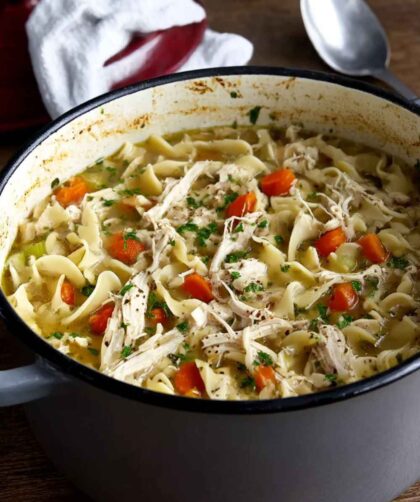 Pioneer Woman Rotisserie Chicken Noodle Soup Recipe