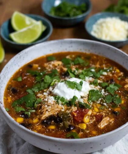 Pioneer Woman Spicy Chicken and Black Bean Soup Recipe