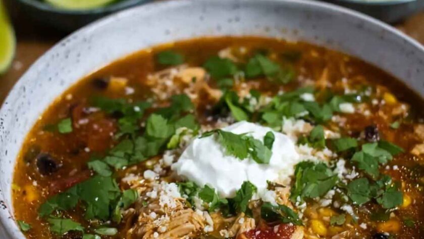 Pioneer Woman Spicy Chicken and Black Bean Soup Recipe