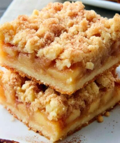 Pioneer Woman Apple Slab Pie Recipe