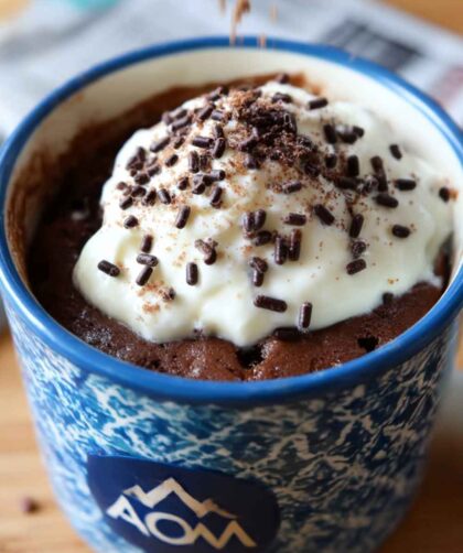Pioneer Woman Chocolate Mug Cake Recipe