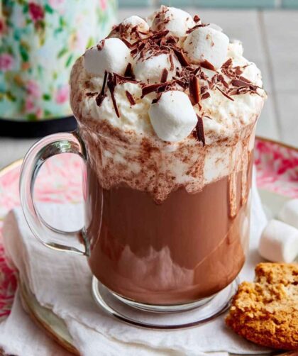 Pioneer Woman Crock Pot Hot Chocolate Recipe