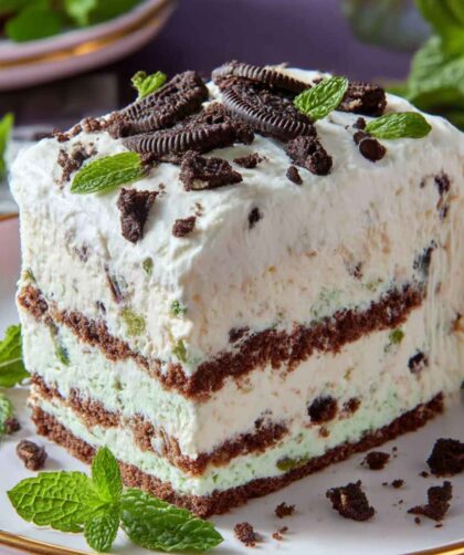 Pioneer Woman Ice Cream Sandwich Cake Recipe